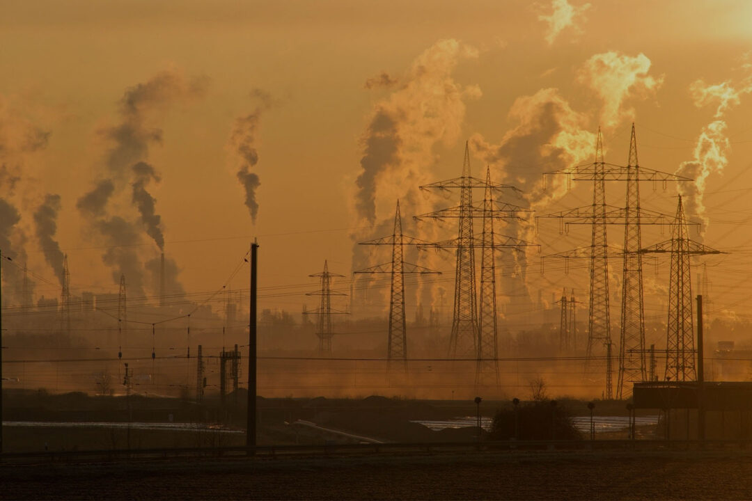 Energiepreispauschale EPP für Arbeitgeber und -nehmer