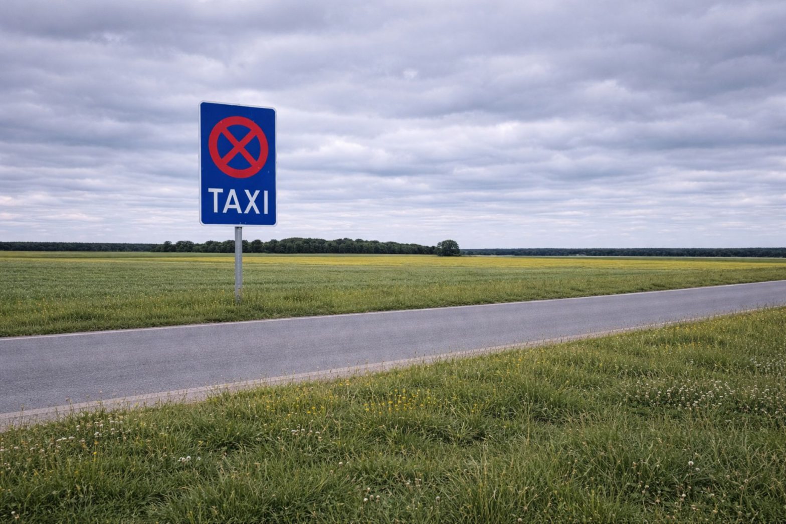 Taxirückgang in der Fläche